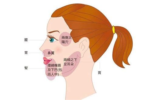 痘痘位置代表什么|脸上长痘痘的位置不同分别说明了什么